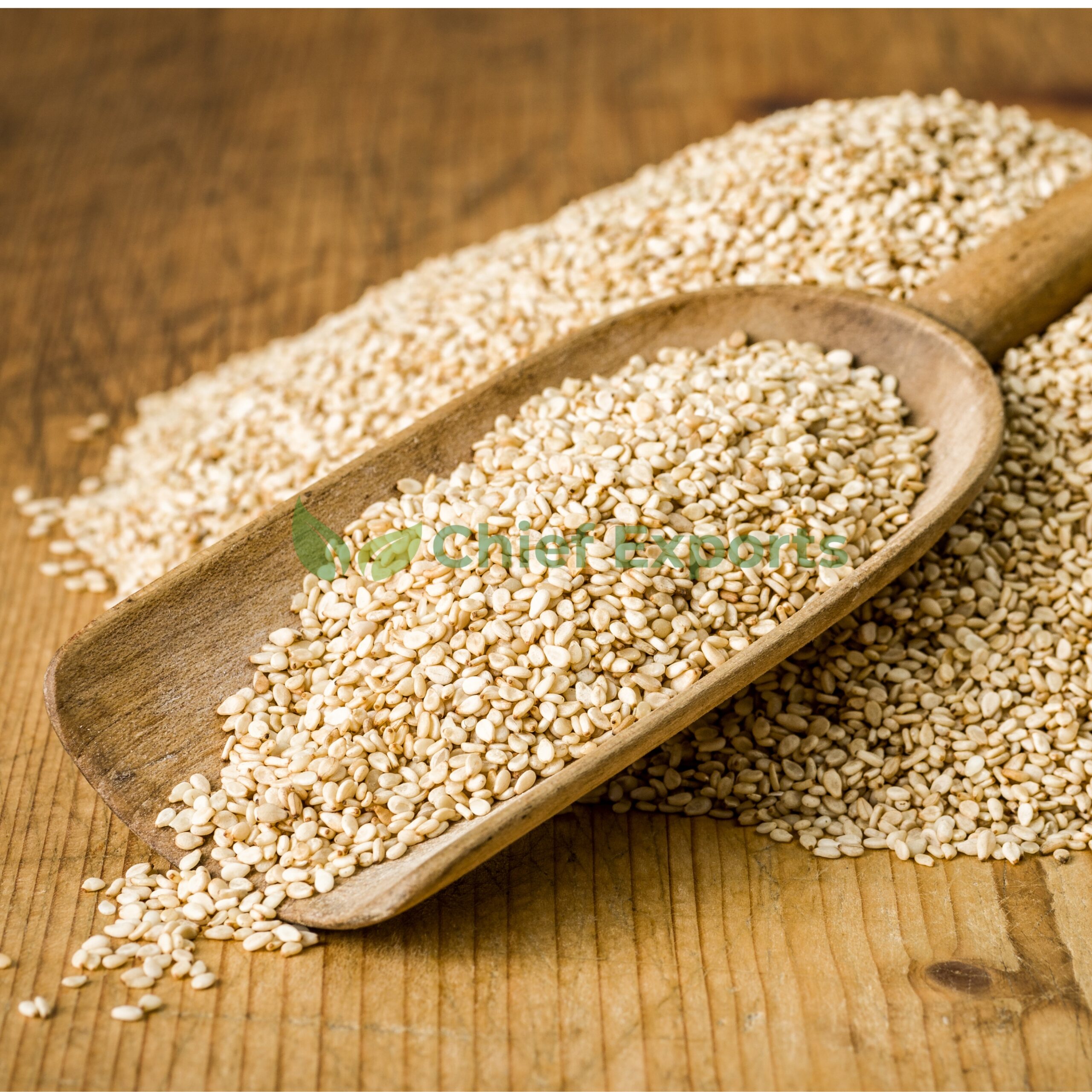 Barley - Image 2