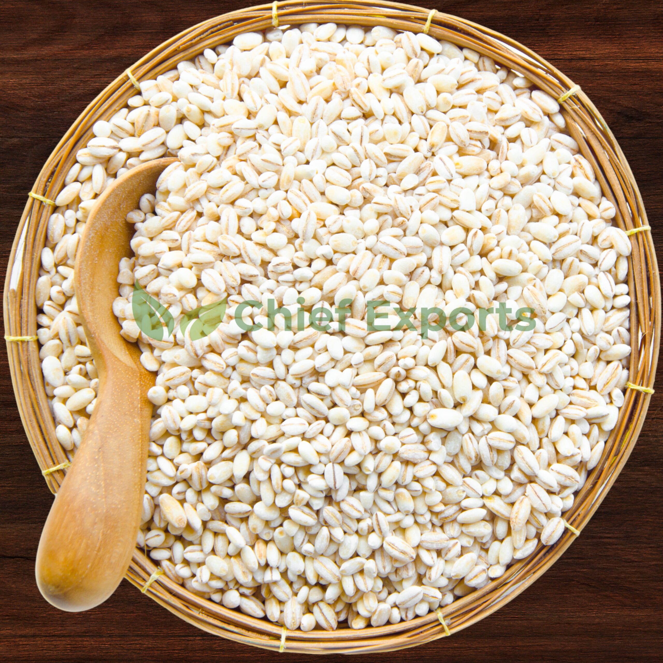 Barley