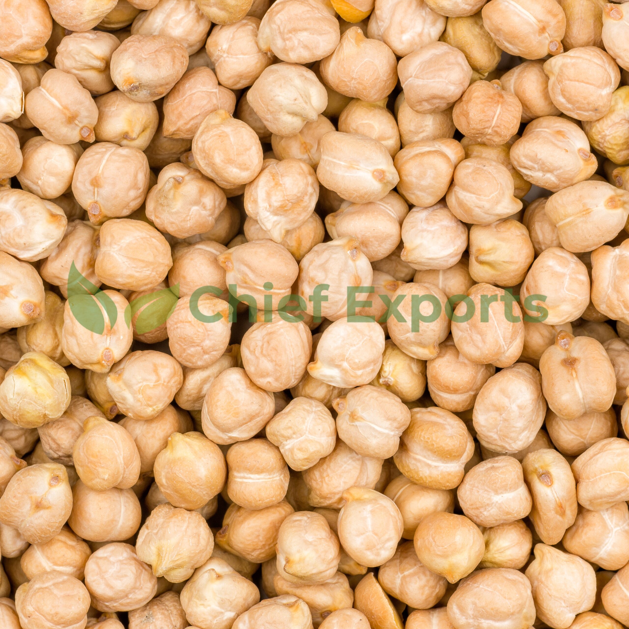 White Chickpeas (Kabuli Chickpeas)