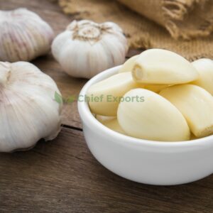 Garlic