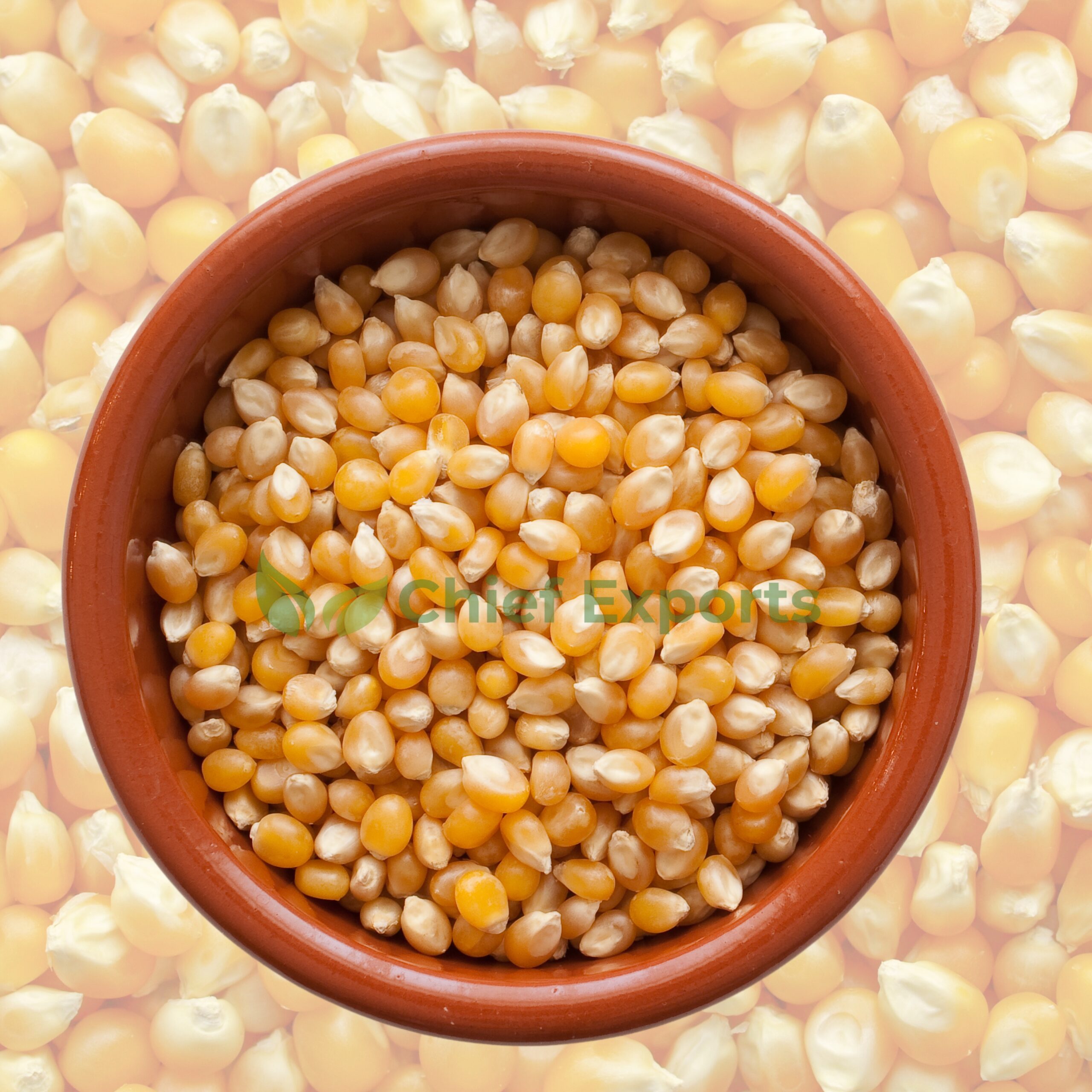Maize - Image 2