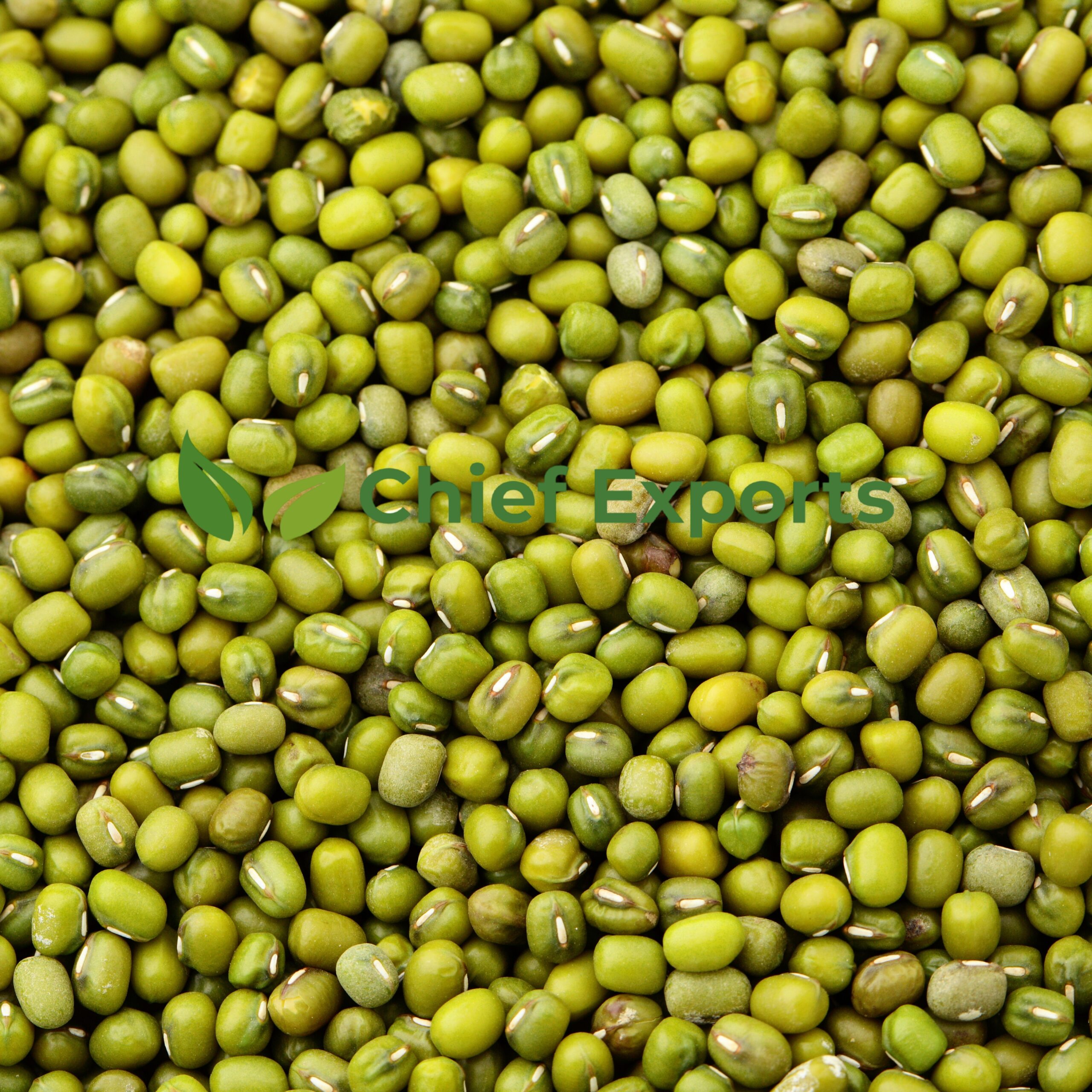 Green gram (Moong)