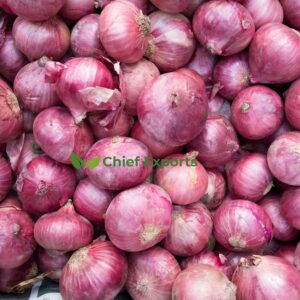 Onion