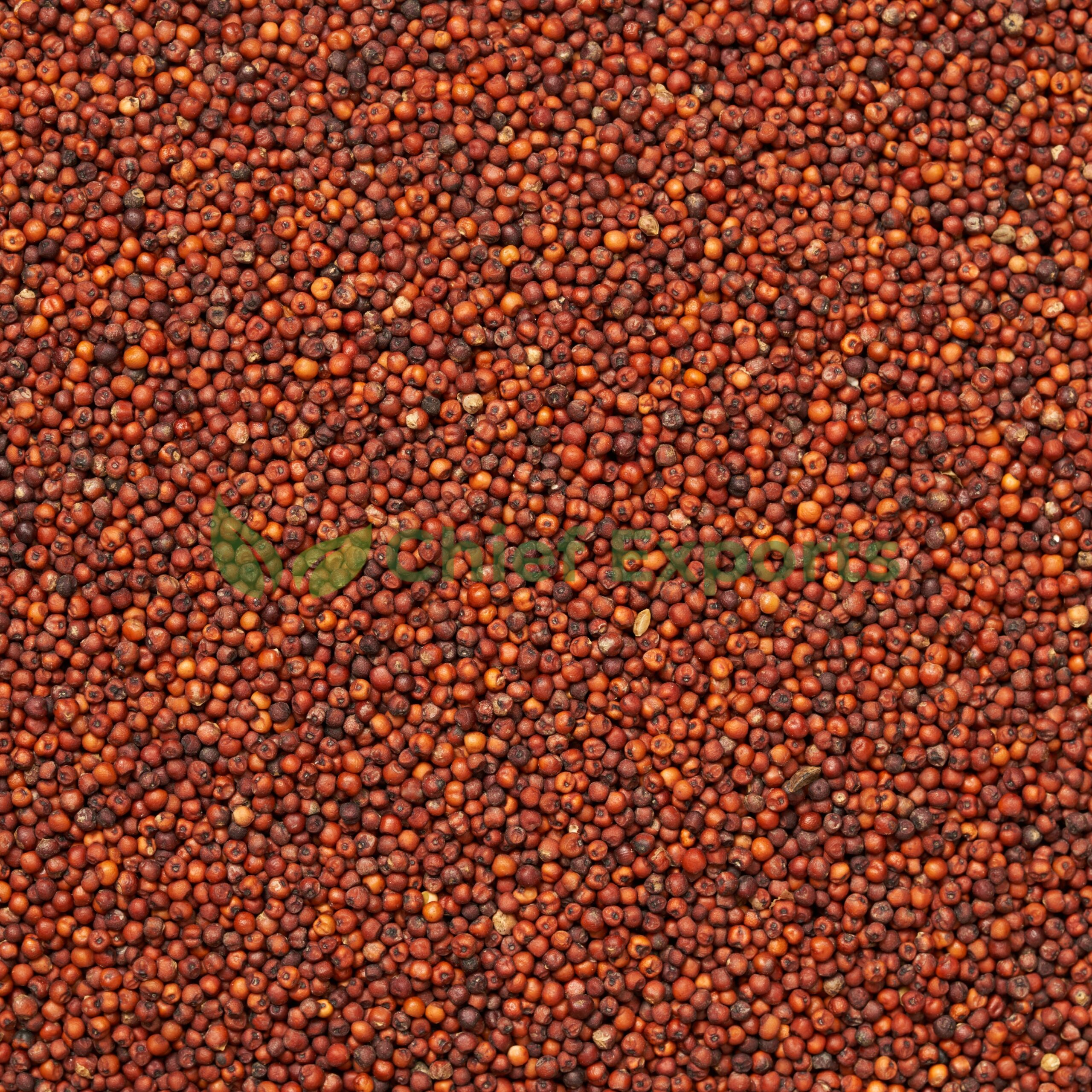 Finger (Ragi) - Image 2