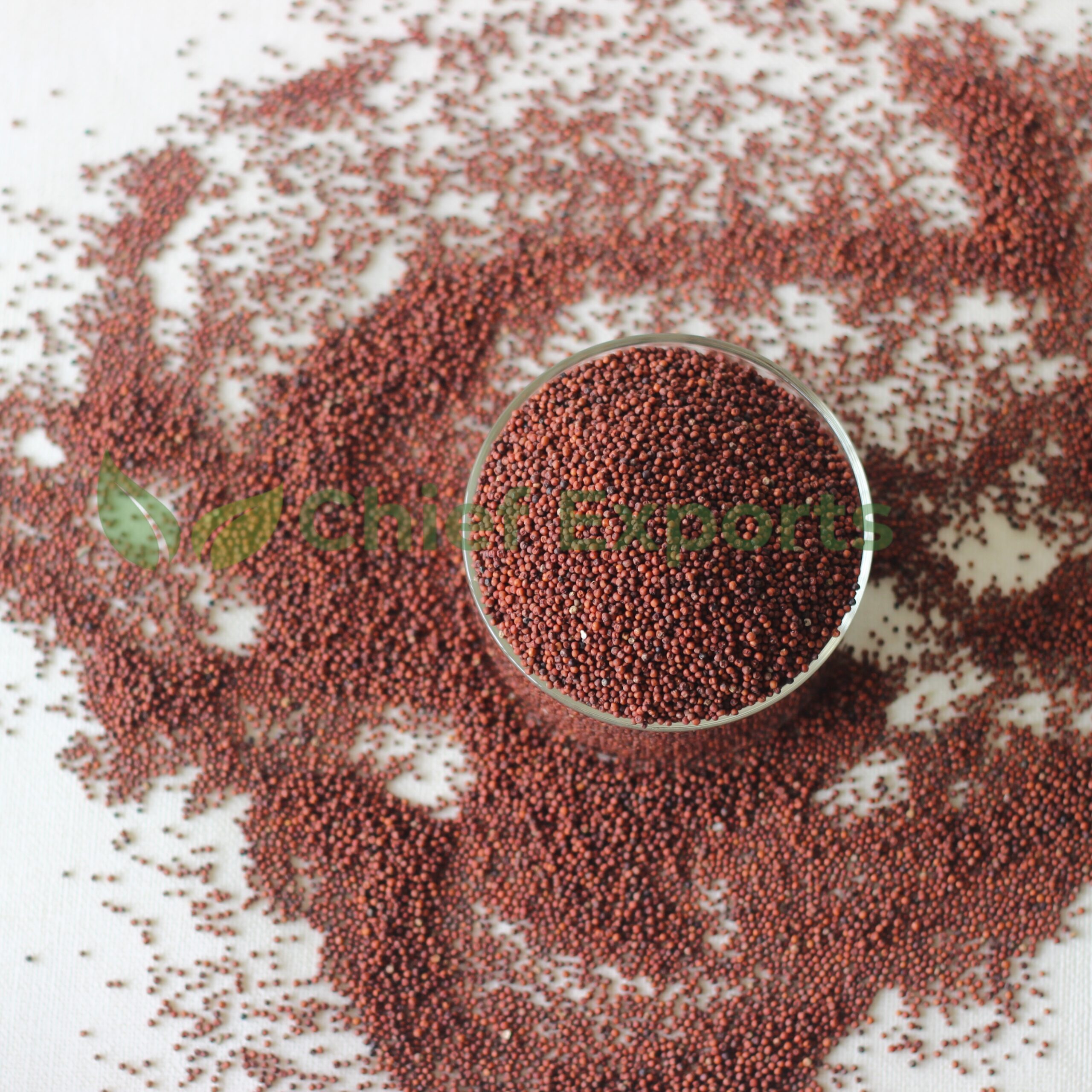 Finger (Ragi) - Image 4