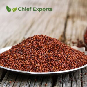 Finger (Ragi)