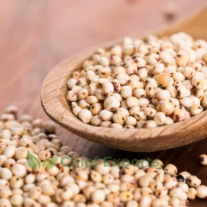 Sorghum (Jowar)