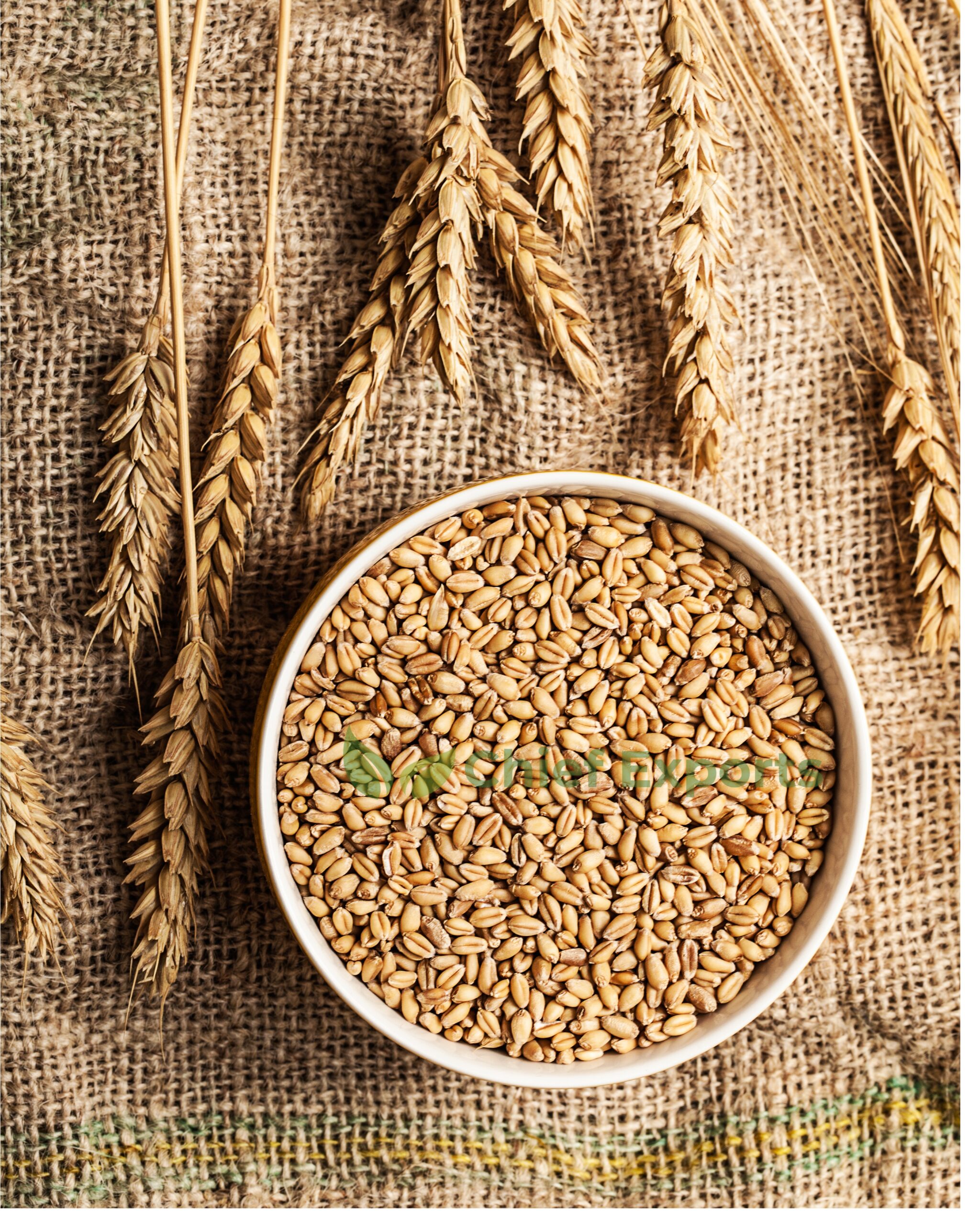Wheat - Image 2